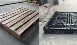 so sanh uu nhuoc diem cua pallet
